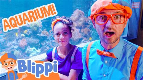 Blippi and Meekah Visit an Aquarium | Full Episodes | Animal Videos for ...