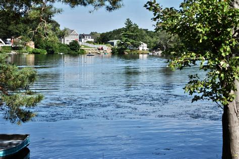 Commission lays out plans to treat invasive plant in Lake Quinsigamond