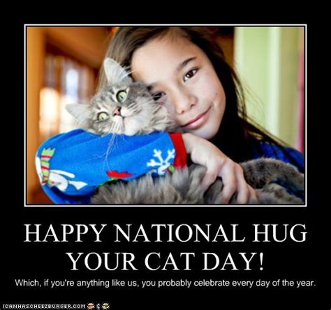 Happy National Hug Your Cat Day! - I Can Has Cheezburger?