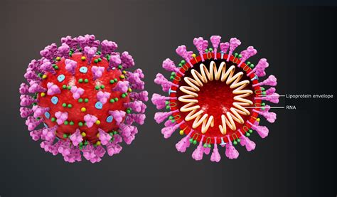 Coronavirus — Science Learning Hub