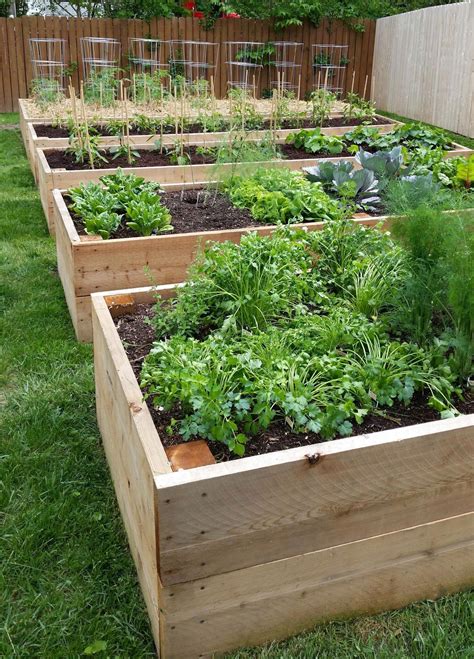 My raised garden bed build#bed #build #garden #raised | Vegetable garden beds, Garden planter ...