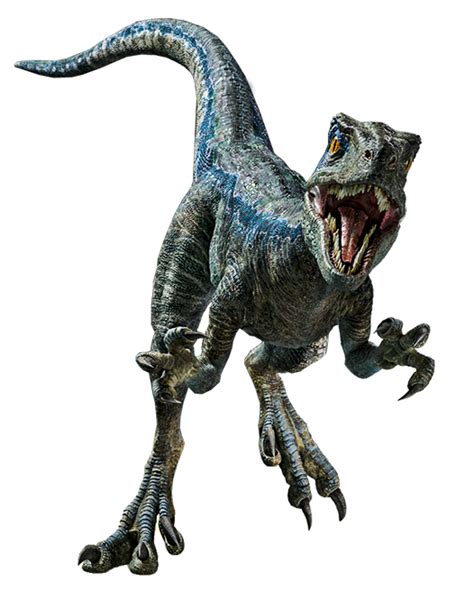 Jurassic World Velociraptor Blue Render 9 by tsilvadino on DeviantArt