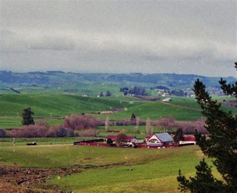 Countryside outside Auckland, New Zealand in 1998. Photography by David E. Nelson | Countryside ...