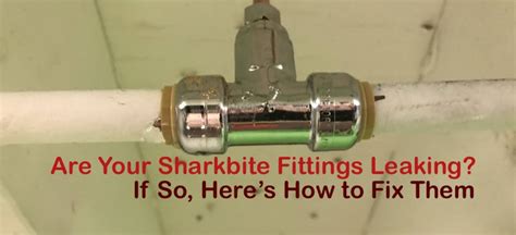 Are Your Sharkbite Fittings Leaking? If So, Here’s How to Fix Them