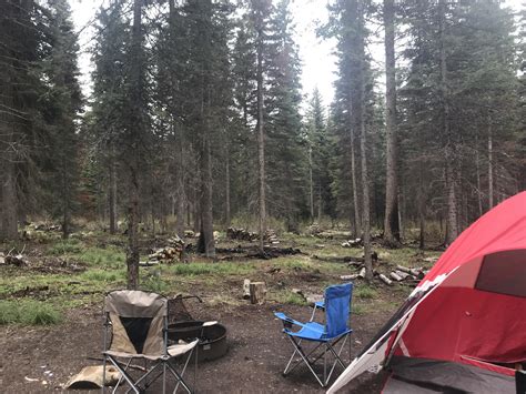 Lake Alva Campground, Lolo National Forest, Montana : r/camping