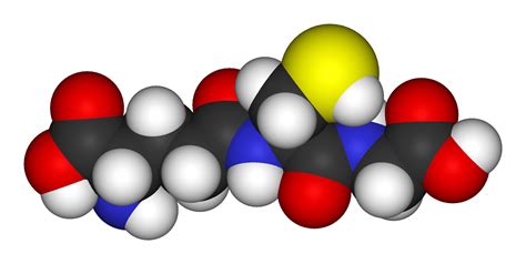 Antioxidant - Wikipedia