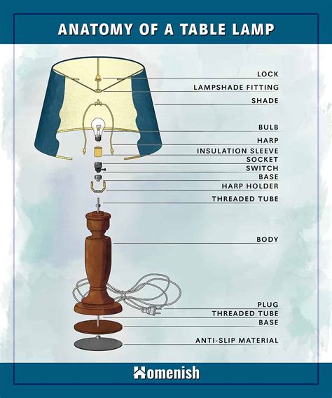 Parts of a Lamp Explained (with Diagram) - Homenish