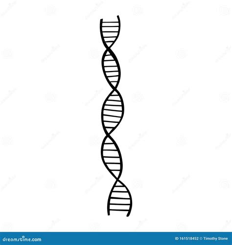 Black and White Vector Illustration of Dna Stock Vector - Illustration ...