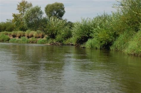 Canoeing on the Pilica River - ITS Poland