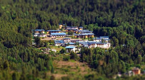 Royal Thimphu College - Home