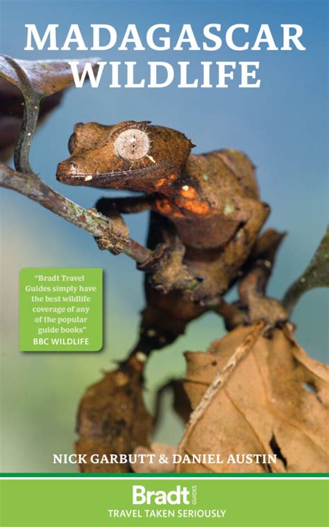 Madagascar Wildlife | Bradt Guides