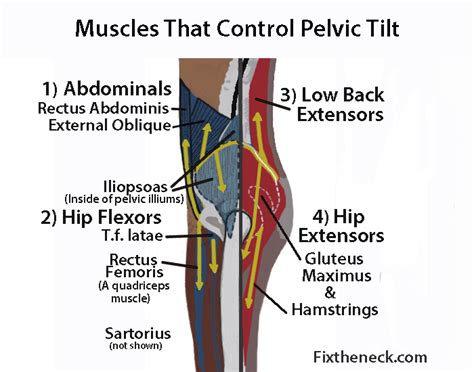 Hip Rehab Exercises to Prevent a Torn ACL | Sports Knee Therapy