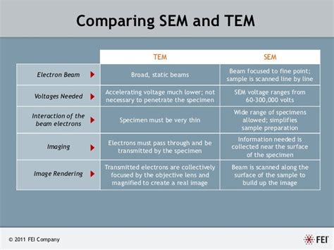 compare the tem sem and light microscopes | Decoratingspecial.com