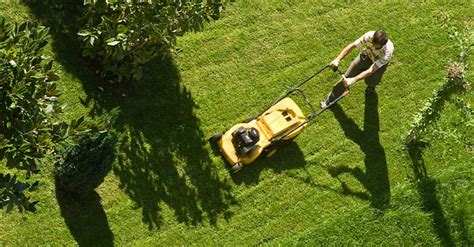 Get Fit with These Backyard Chores - Start Healthy