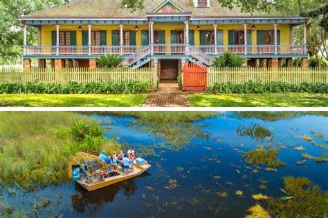 16 Best New Orleans Swamp Tours - TourScanner