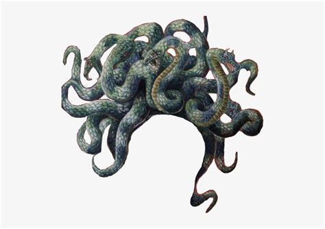 Remix Sticker Medusa Gorgon Snakes Snakehais Freetoedit - Gorgon Transparent PNG - 510x498 ...