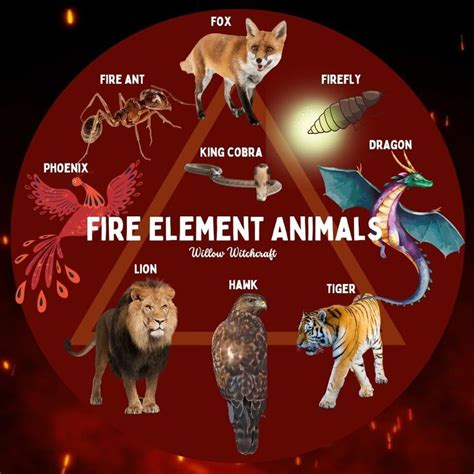 Fire Element Animals | Animal totem spirit guides, Spirit animal meaning, Animal symbolism