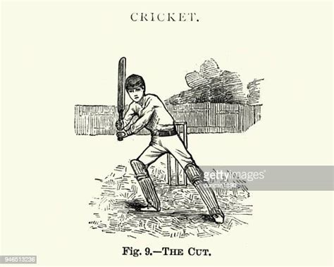 721 Cricket Bat History Stock Photos, High-Res Pictures, and Images ...