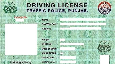 Punjab Launches E-Driving License Facility - INCPak