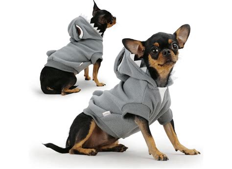 Top 6 Dog Shark Costume Picks to Make Your Pup the Halloween Star