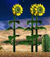 Sunflower (Ghosthande) - Creatures Wiki