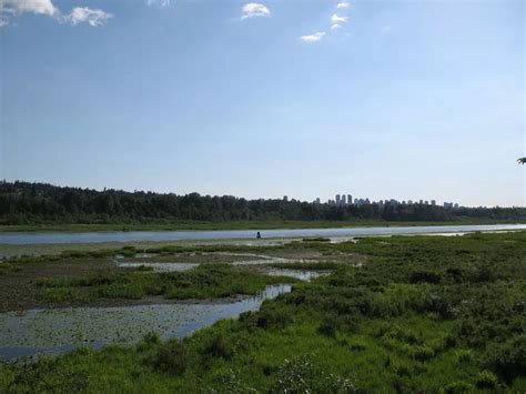 Burnaby Lake Regional Park hiking and walking trail in Burnaby, BC ...