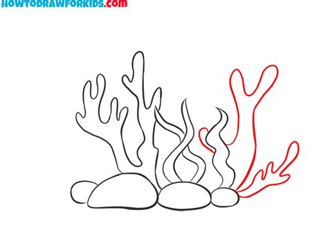 Coral Drawing For Kids