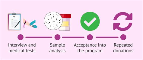 How is sperm donation explained step by step?