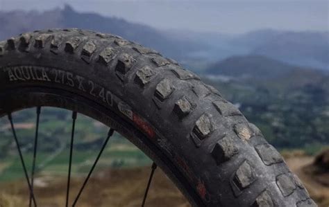 12 Best Tubeless Mountain Bike Tires 2024 (By Riding Category)