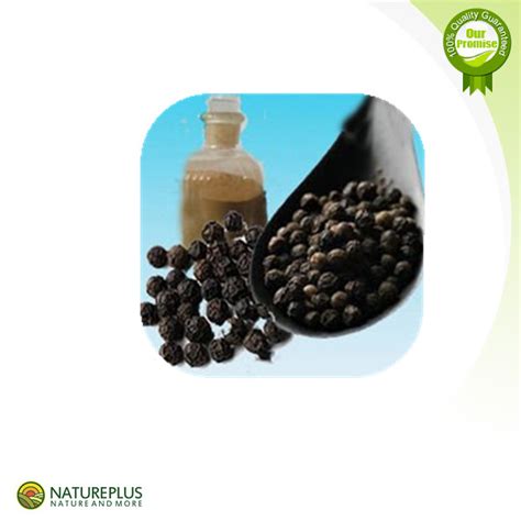 Extraction piperine black pepper/Black pepper/Piperine,China NaturePlus price supplier - 21food