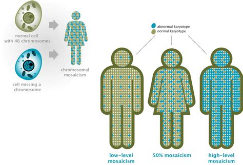 Chromosomal mosaicism, genetic mosaicism & mosaicism symptoms