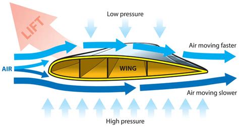 Bernoulli Principle In Sport - TeachPE.com