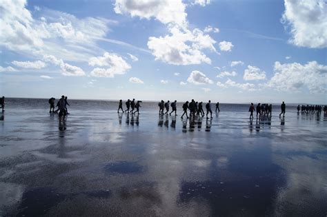 Morecambe Bay cross bay walk, August 2013 #crossbaywalk #morecambe | Morecambe, Lancashire, Beach