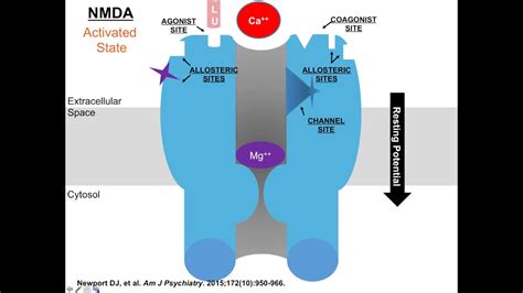 Ketamine, Glutamate, and the Future of Mood Disorders Therapeutics ...