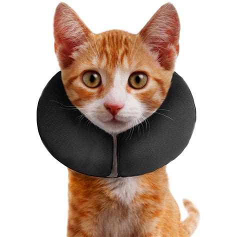 E-Collar Alternative for Cats: Ditch the Dreaded Cone - Floppycats™