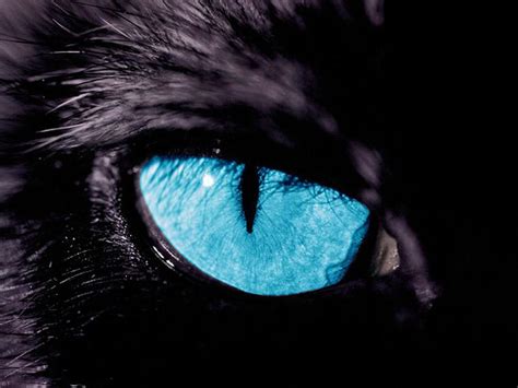 Black Panther Eyes Wallpapers - Top Free Black Panther Eyes Backgrounds - WallpaperAccess