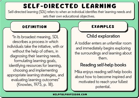 16 Self-Directed Learning Examples (2024)