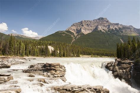 Athabasca Falls, Canada - Stock Image - C023/1606 - Science Photo Library