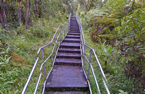 Akaka Falls State Park Trail Reopens After Repairs