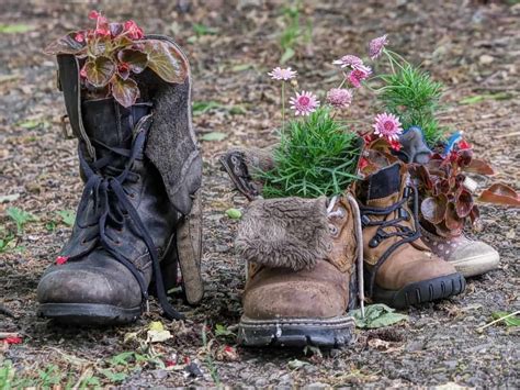 Agitation Mühle Antarktis boots case Insekt freundlich Gericht