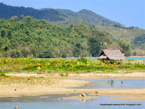 Tumarbong ROXAS, PALAWAN | The Palaweña Explorer