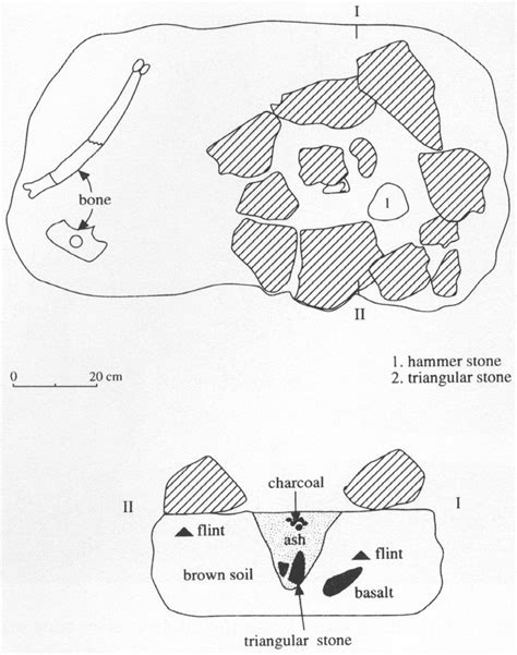 Plan of H. 13 bones and associated stone circle, with section of the ...