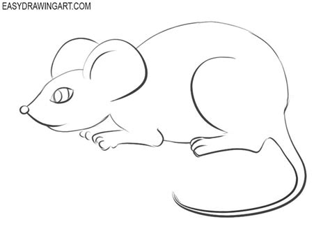 How to Draw a Mouse - Easy Drawing Art