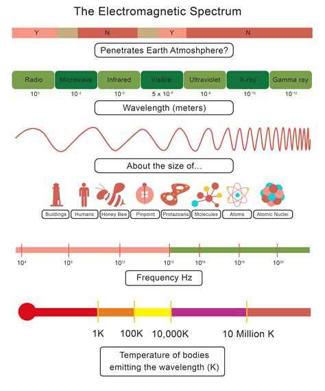 The diagram below shows The Electromagnetic Spectrum