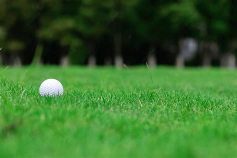 Golf Green Lawn Green Background And Picture For Free Download - Pngtree