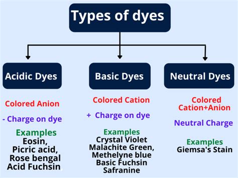 Different types of dyes and stains in microbiology - RBR Life Science