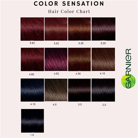 pin on garnier hair color chart - tinta de cabelo sem amonia garnier ...