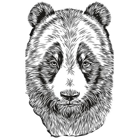 Premium Vector | Vintage engrave isolated panda illustration cut ink ...