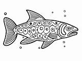 Lake Trout Coloring Experience  Page sketch template