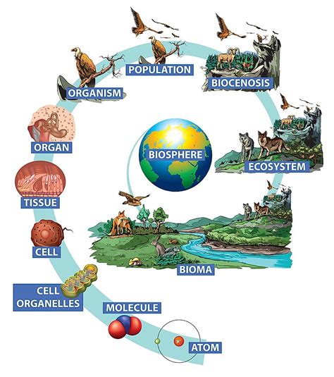 The Four Spheres Of The Earth - WorldAtlas